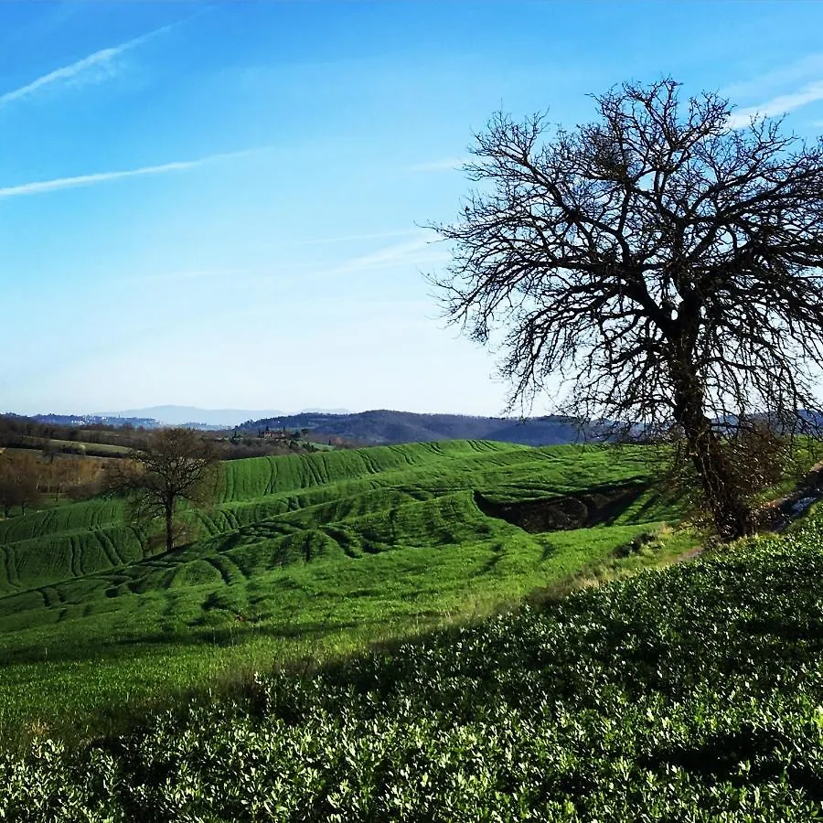 B&B Locanda Toscanini Le Piazze